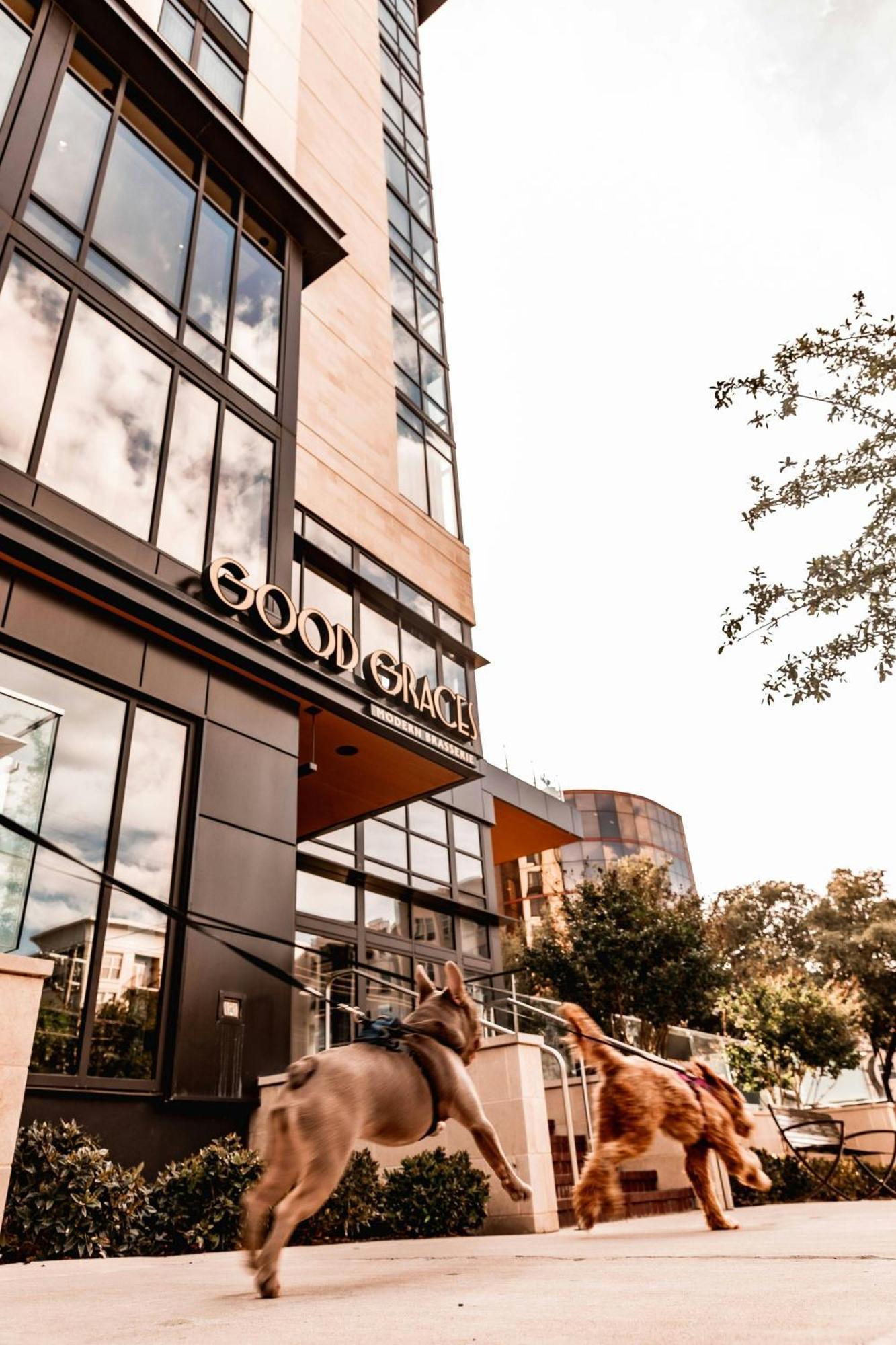 Marriott Dallas Uptown المظهر الخارجي الصورة